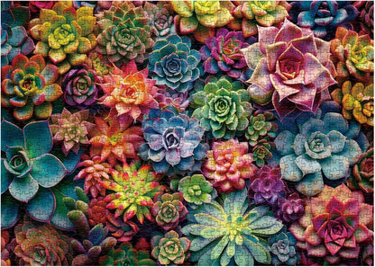 Vibrant Succulents Jigsaw Puzzles 1000 Pieces