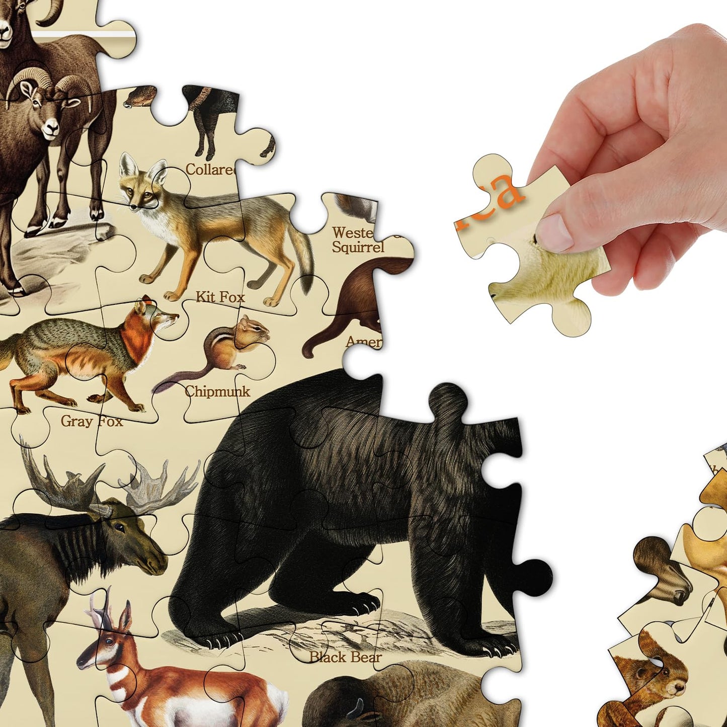 Vintage Animal Jigsaw Puzzle 1000 Pieces