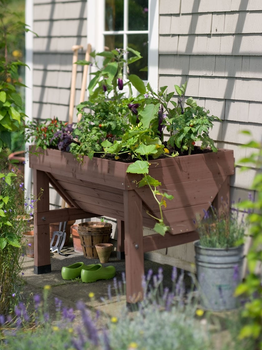 Compact Patio Garden