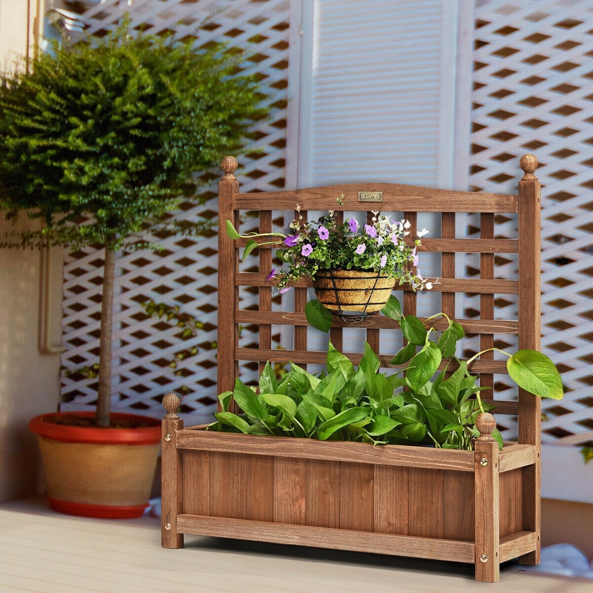 Wooden Raised Garden Bed Freestanding  Elevated Planter Box with Trellis