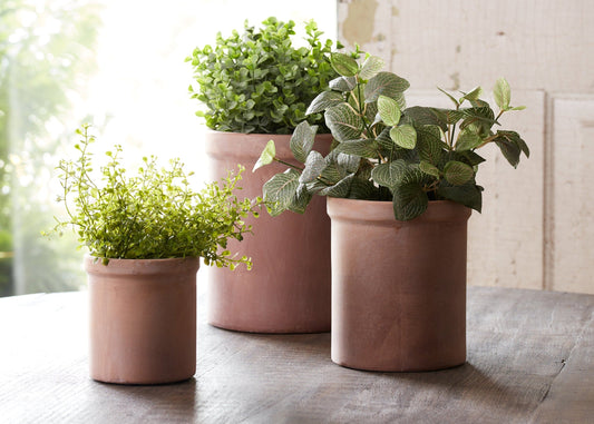 Terracotta Pots (Set of Three)