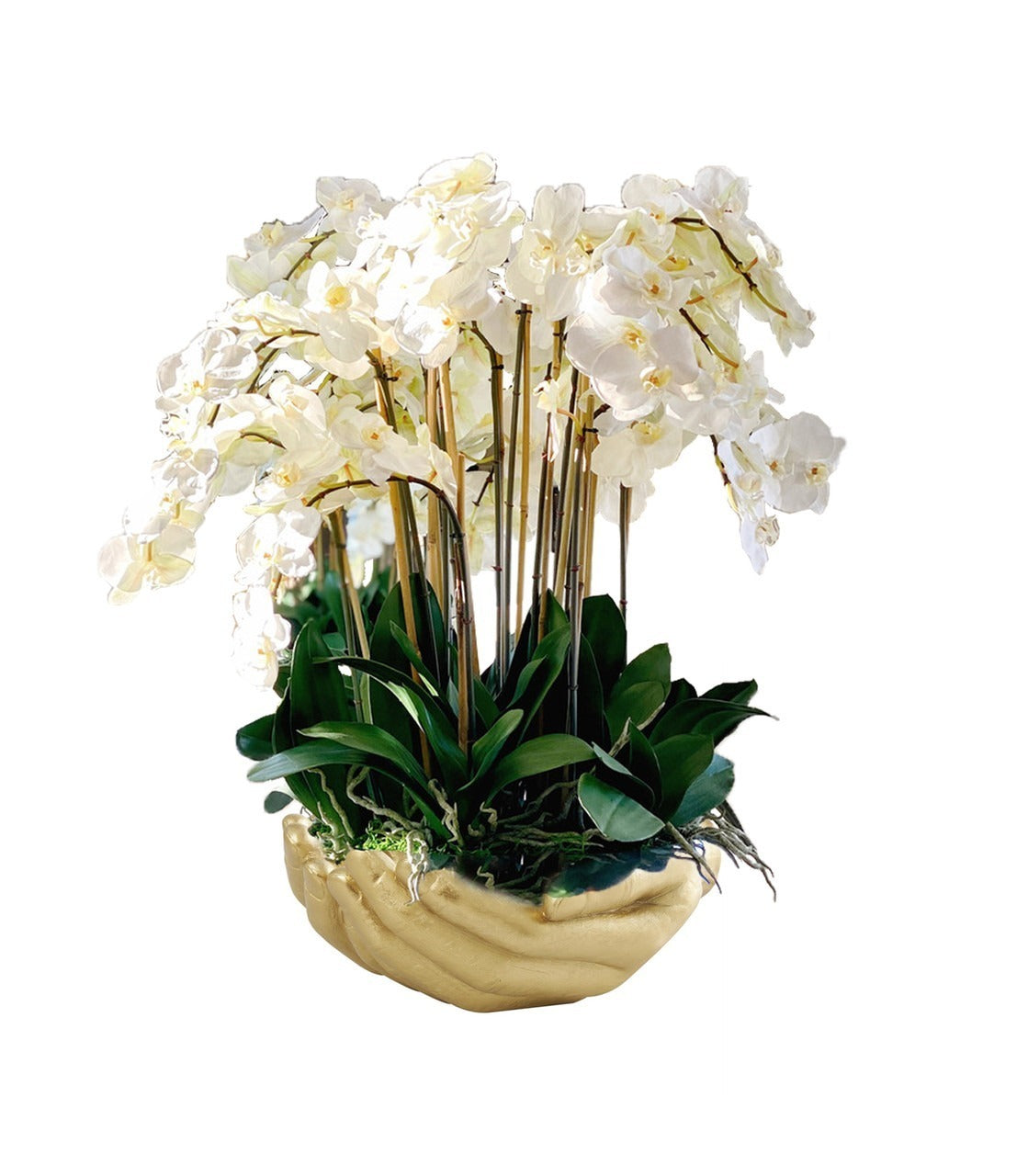 White Phalaenopsis  Orchids in  Gold Open Hands Sculpture Vase