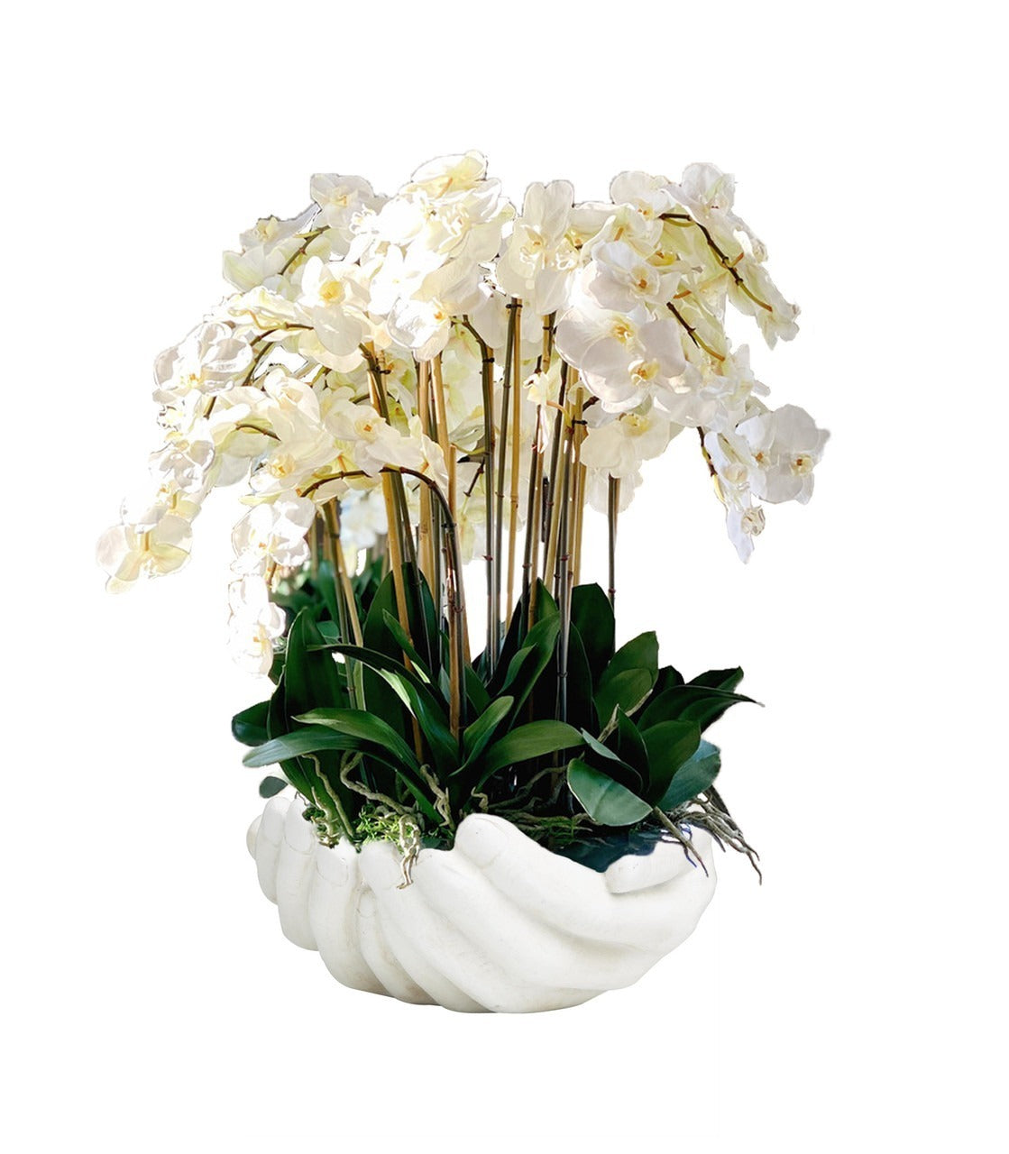 White Phalaenopsis  Orchids in  White Open Hands Sculpture Vase