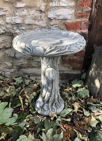 Stunning Stone Tree Trunk Design Garden Bird Bath