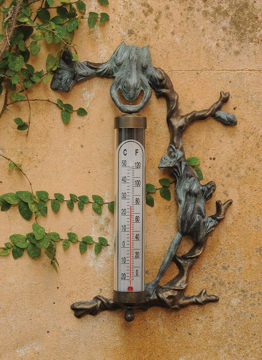 Frog Thermometer