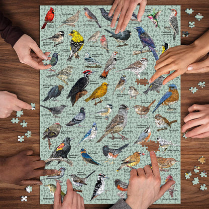 Backyard Birds Jigsaw Puzzle 1000 Pieces