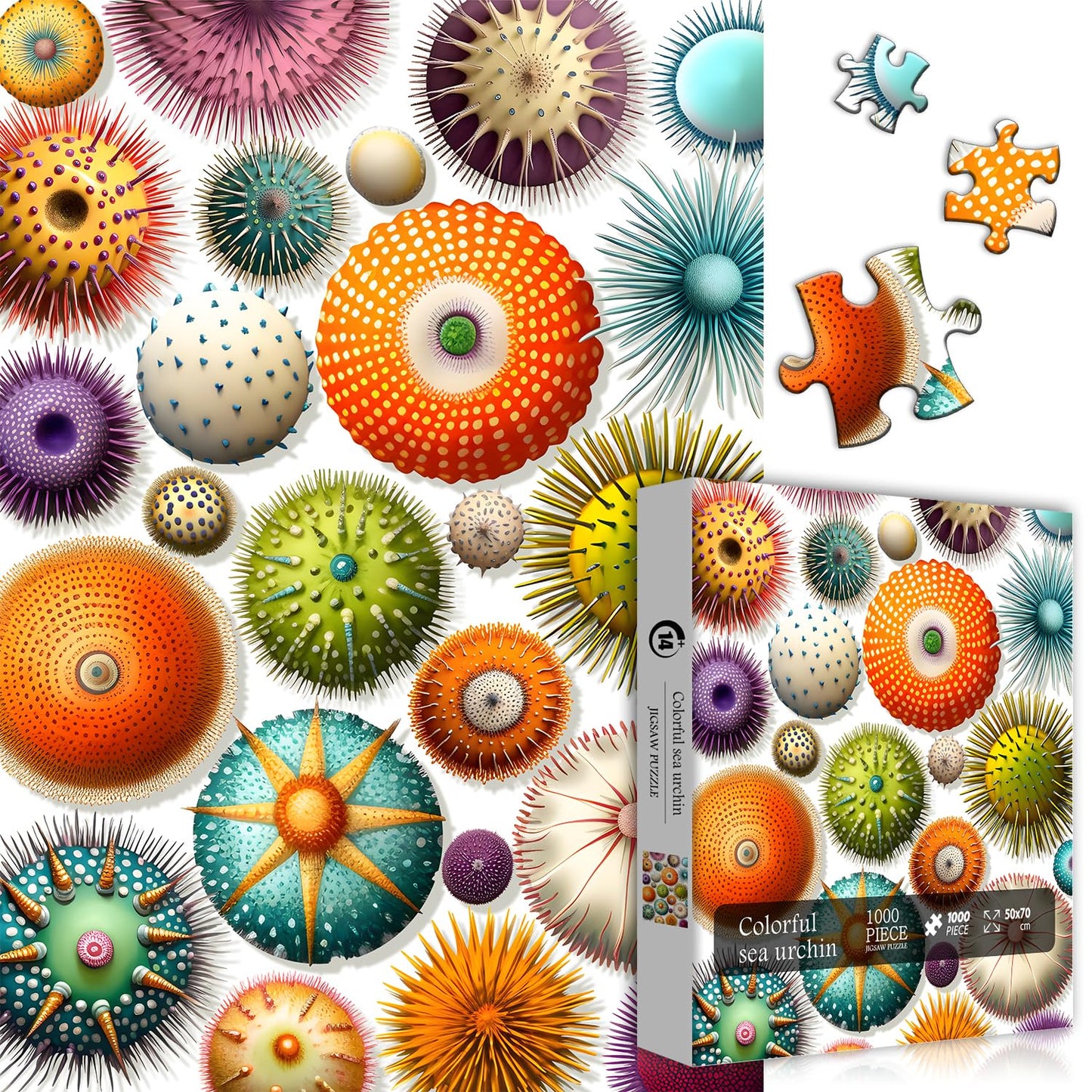 Colorful Sea Urchin Jigsaw Puzzles 1000 Pieces