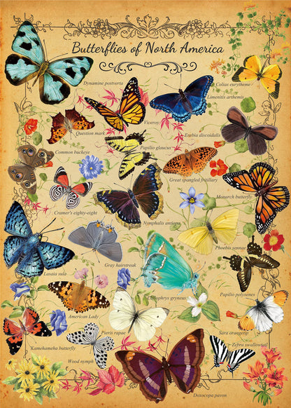 Butterflies of North America Jigsaw Puzzle 1000 Pieces