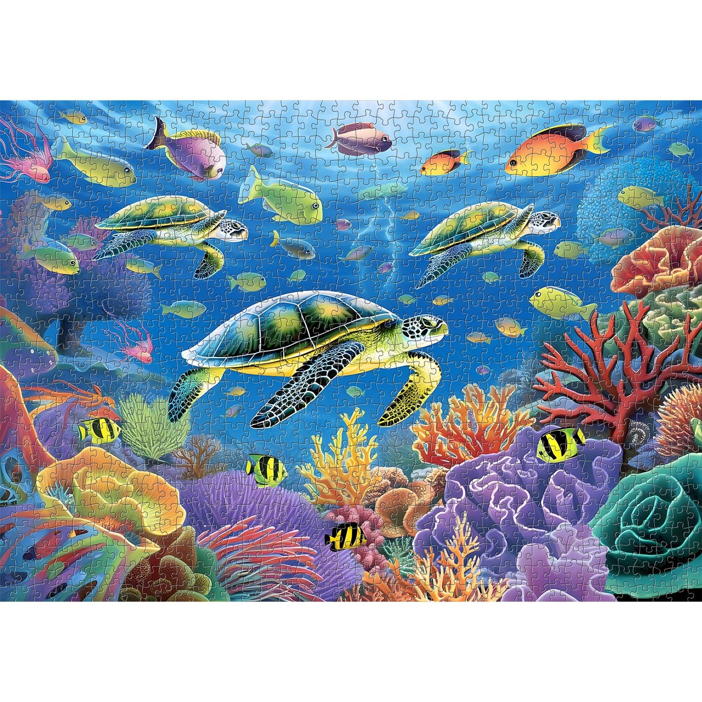 Sea Turtle Jigsaw Puzzle 1000 Pieces