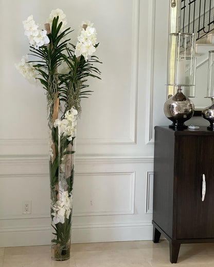 White Vanda Orchids And Driftwood Inside Oversized Tapered Glass Cylinder