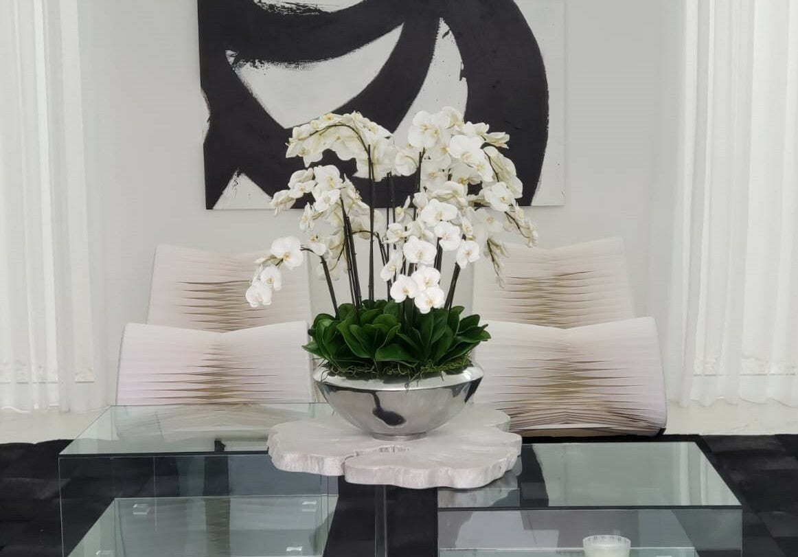 Avenue Bowl with White Phalaenopsis Orchids