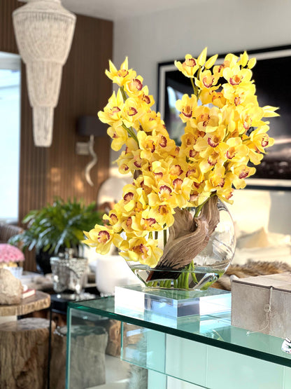 Yellow Cymbidiums in Moon Vase