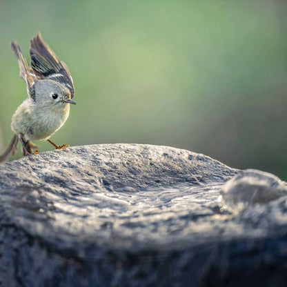 Bird Bath Triple Fountain