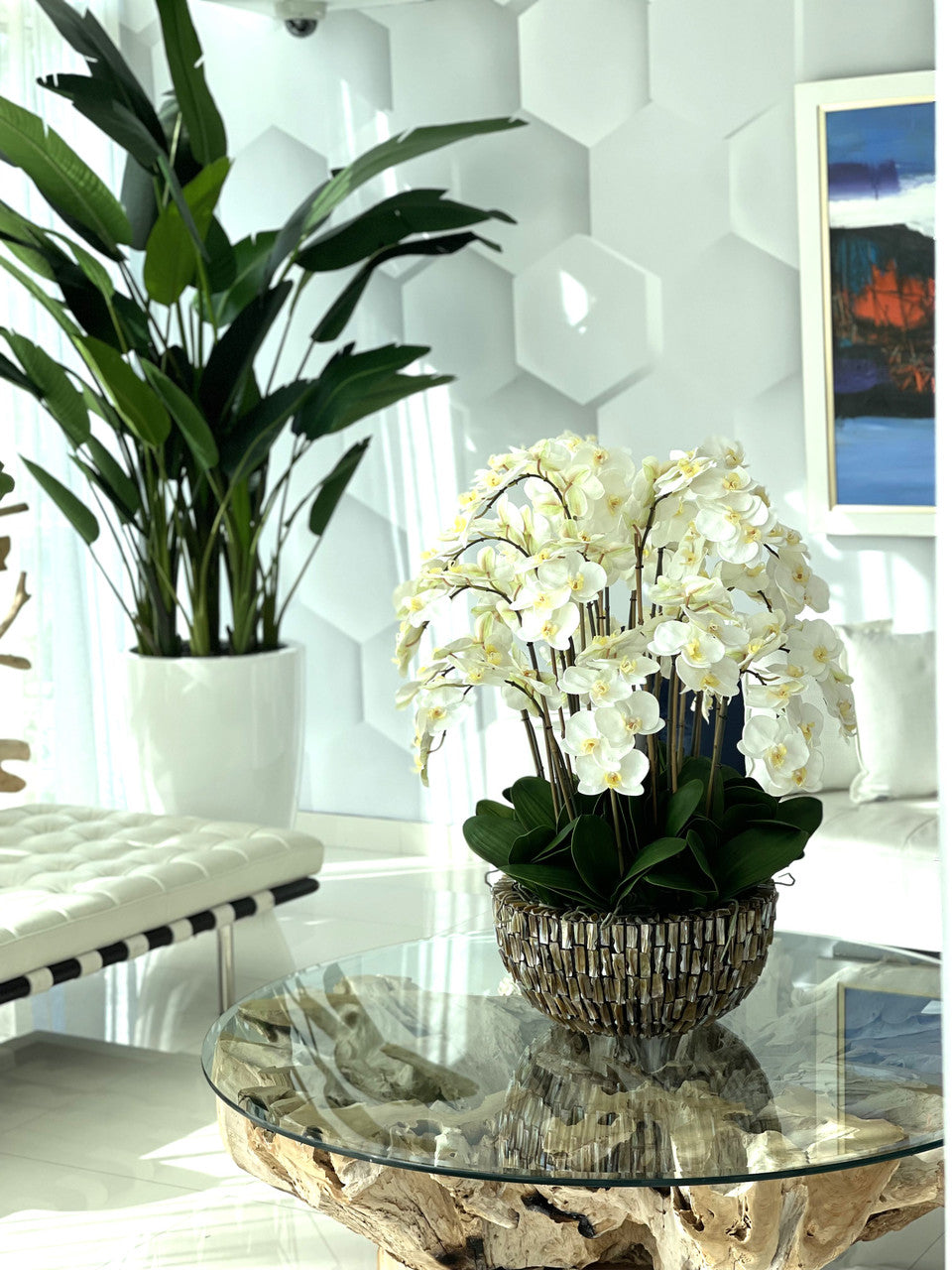 Extra Large Abalone Vase with Cascading White Orchids