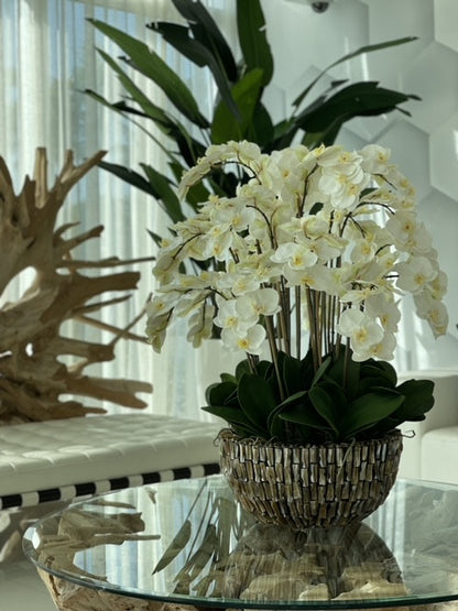 Extra Large Abalone Vase with Cascading White Orchids