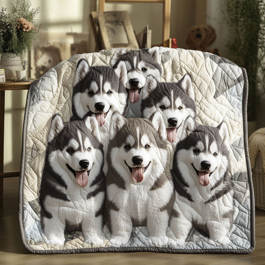 Arctic Malamute Quilted Blanket NCU0PT3110