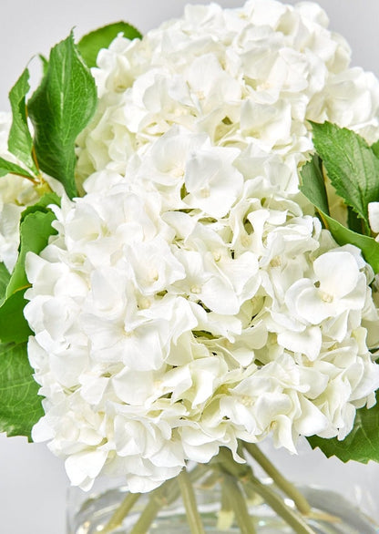 Faux Talc White Hydrangea Arrangement - 12"