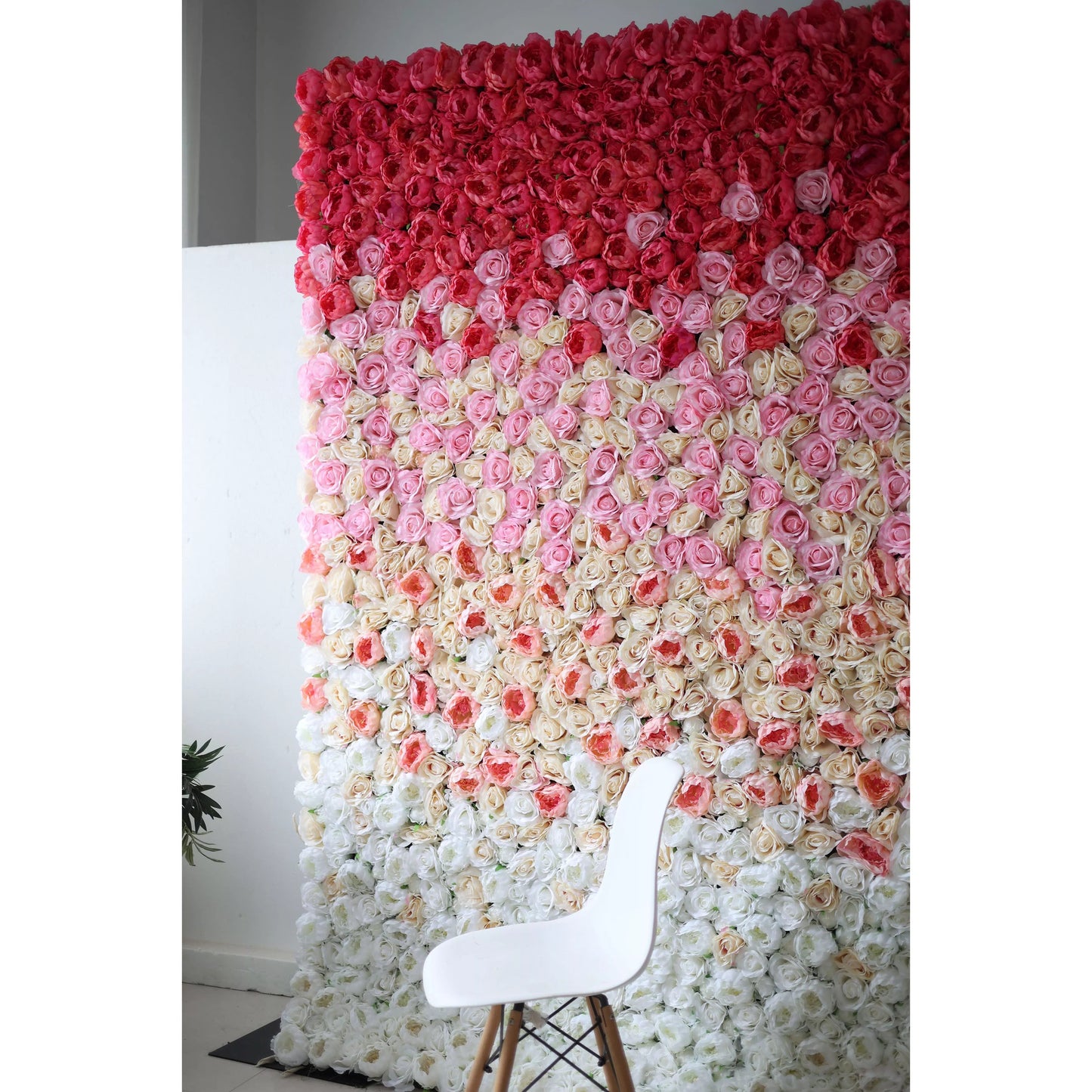 Roll Up Fabric Artificial Gradient Red to White Flower Wall Wedding Backdrop, Floral Party Decor, Event Photography-VF-035