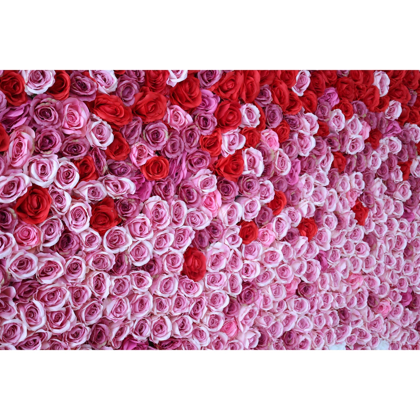 Roll Up Fabric Artificial Red to White Gradient Flower Wall Wedding Backdrop, Floral Party Decor, Event Photography-VF-338