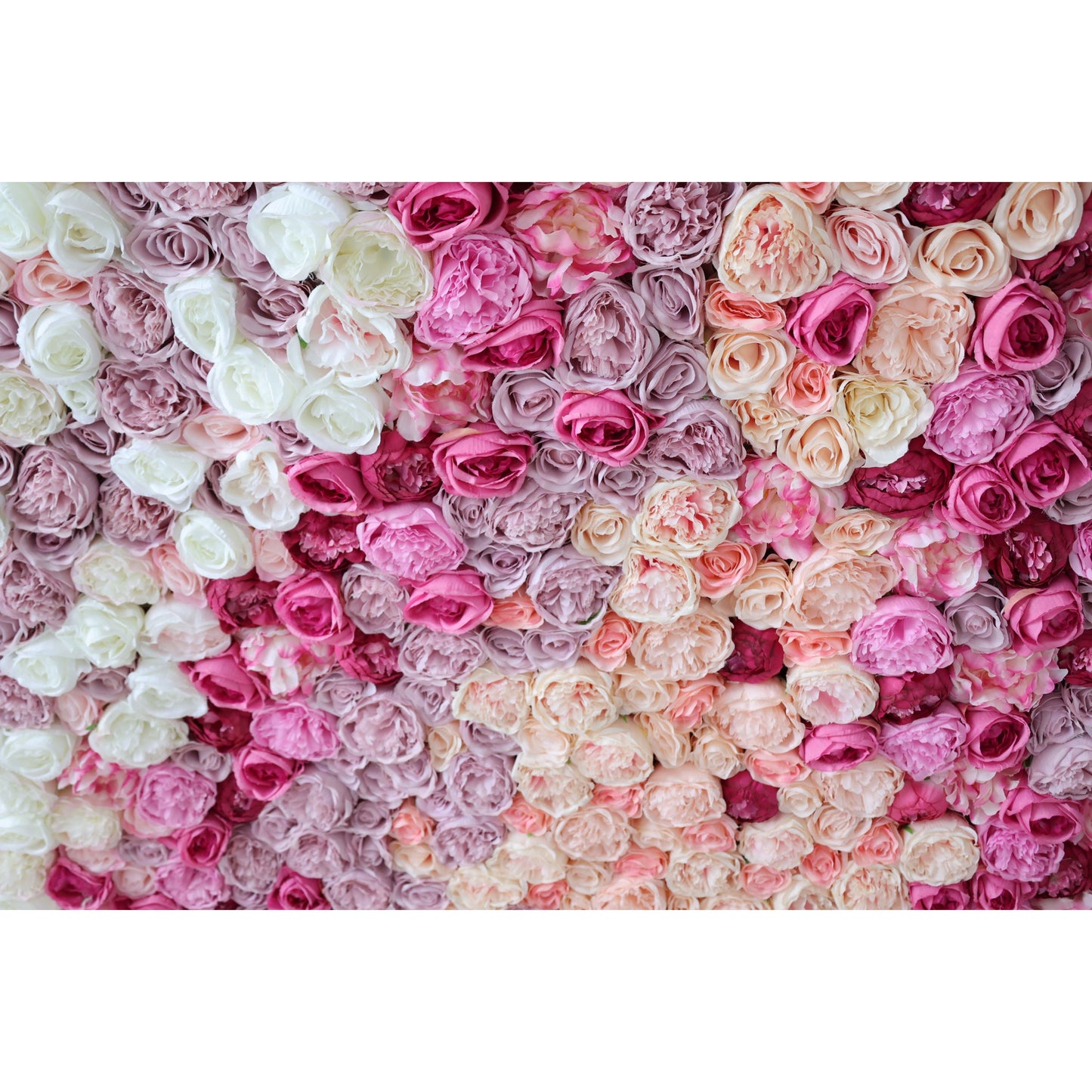 Roll Up Fabric Artificial Red to Pink White Gradient Flower Wall Wedding Backdrop, Floral Party Decor, Event Photography-VF-353