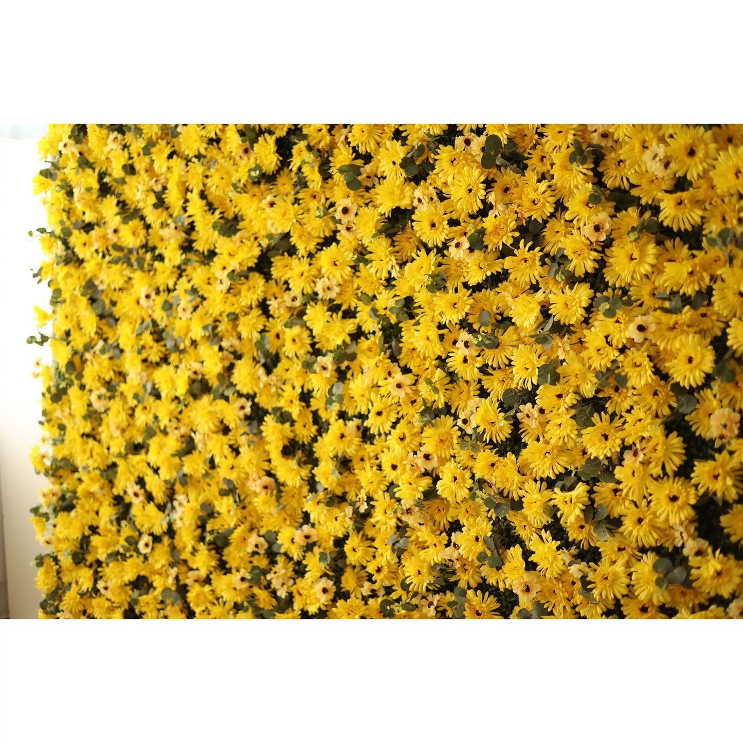 Roll Up Fabric Artificial Burnt Yellow Euryops Pectinatus  Flower Wall Wedding Backdrop, Floral Party Decor, Event Photography-VF-069