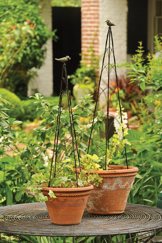 Bird Wire Topiary