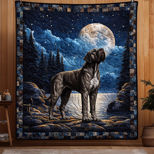 Brave Protector Quilted Blanket NCU0PT3086