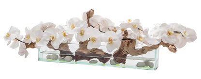 24″ Casa Moderna Glass Plate Planter with white orchids