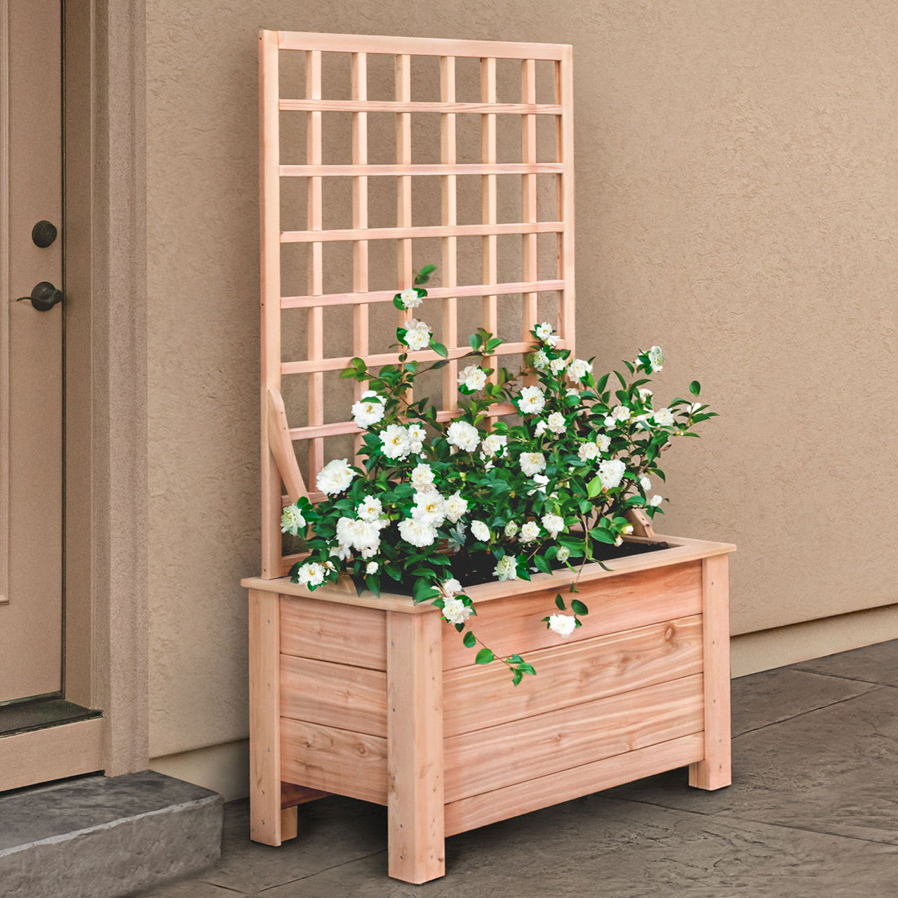 Natural Cedar Planter Box with Trellis