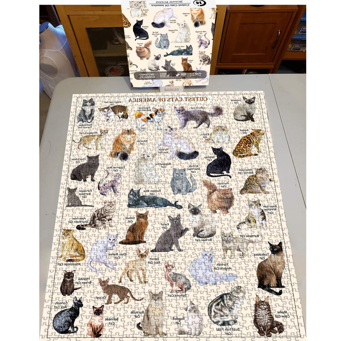 The Cutest Cat Jigsaw Puzzle 1000 Pieces