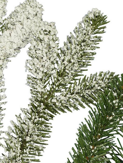 Frosted Fraser Fir=