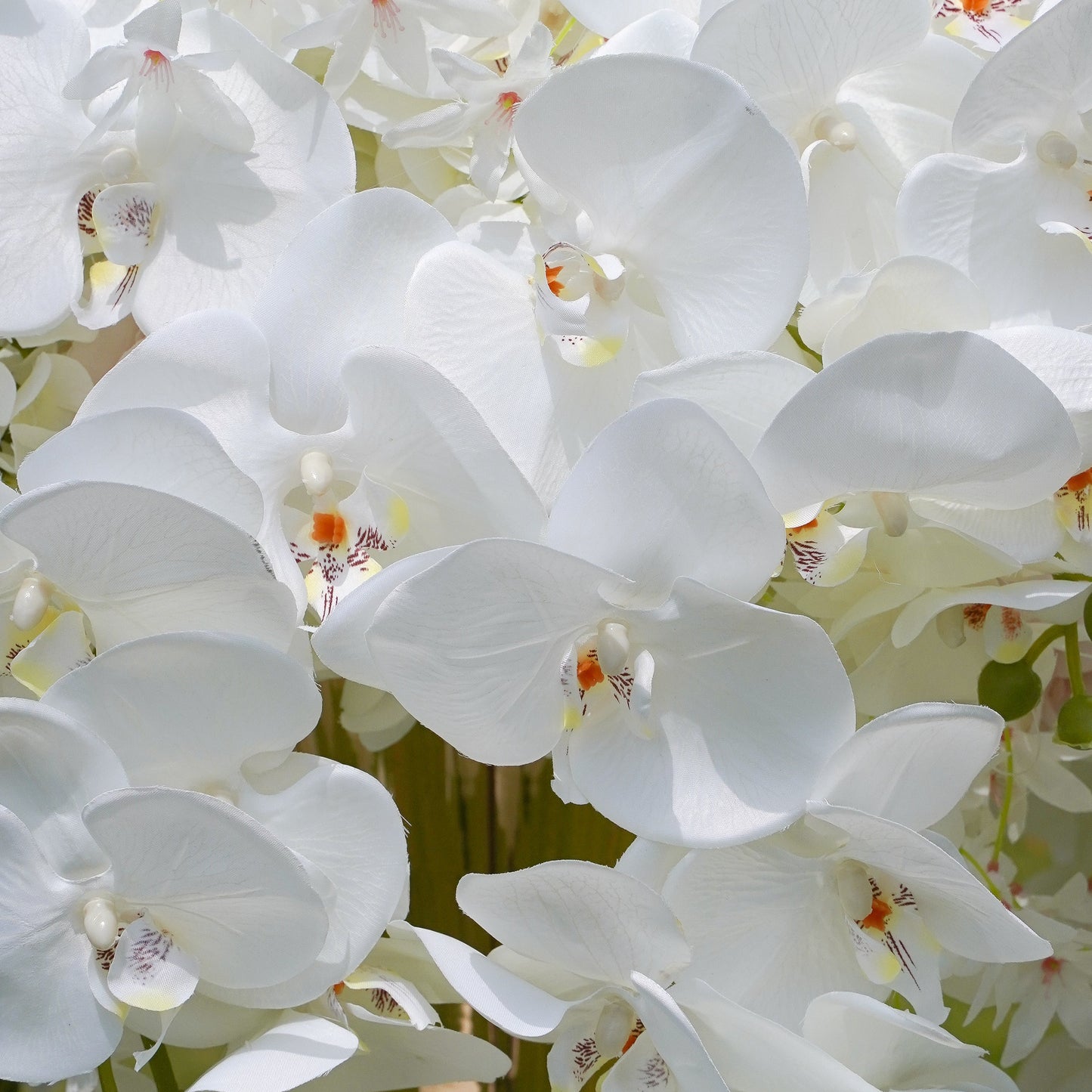 White Phalaenopsis Flower Ball:Flower Centerpiece Bouquet Table Decoration Flower Ball -R181