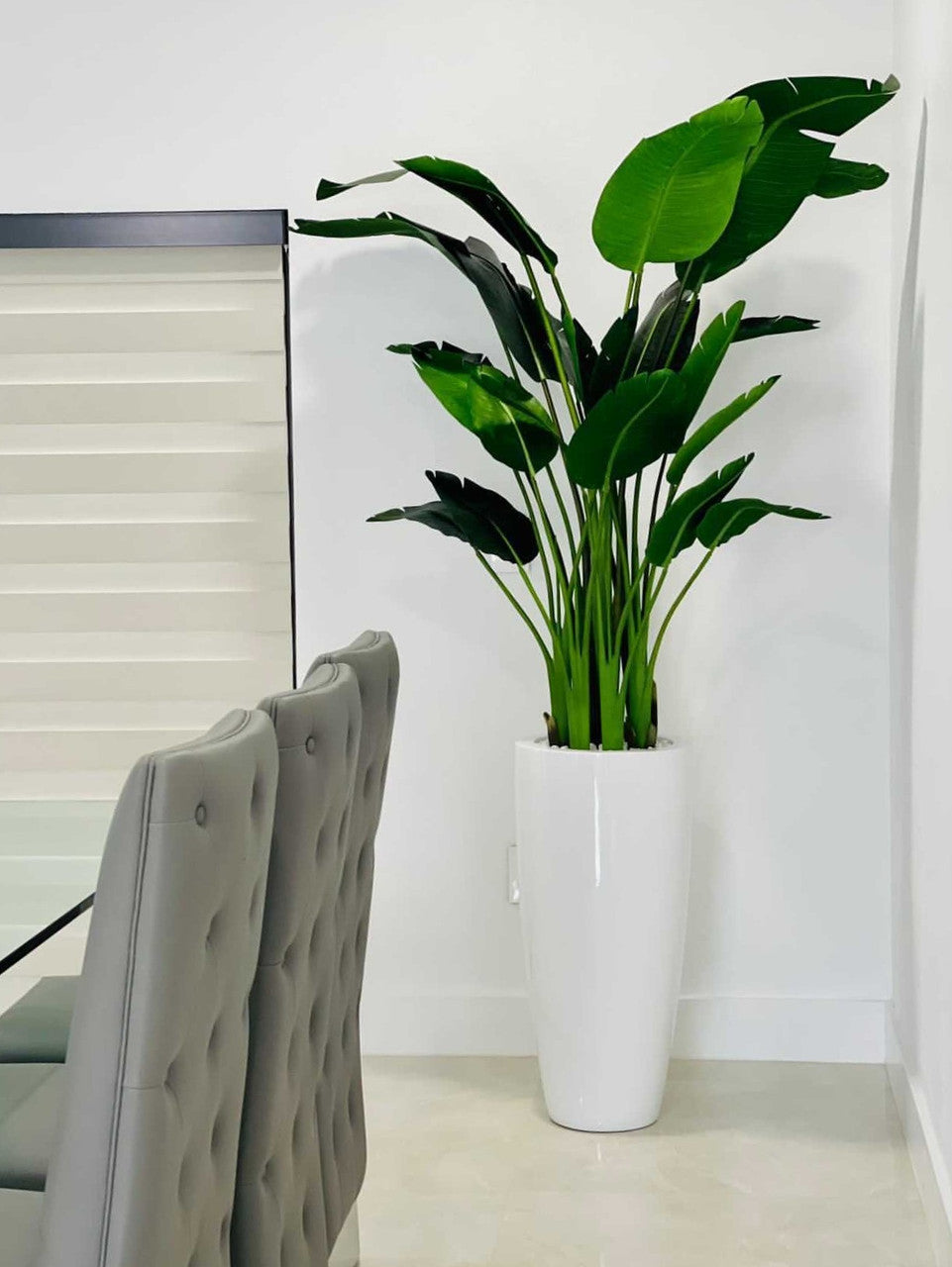 7 ft Bird of Paradise with Dax L Planter