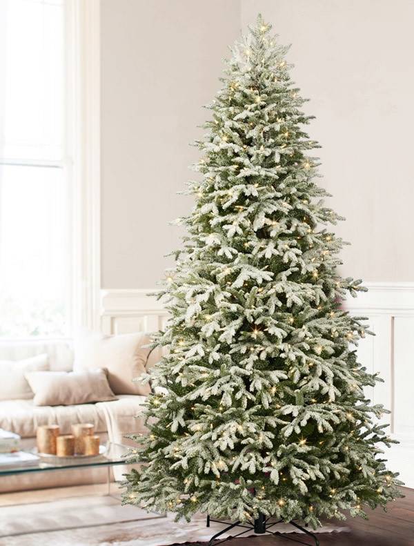 Frosted Fraser Fir=