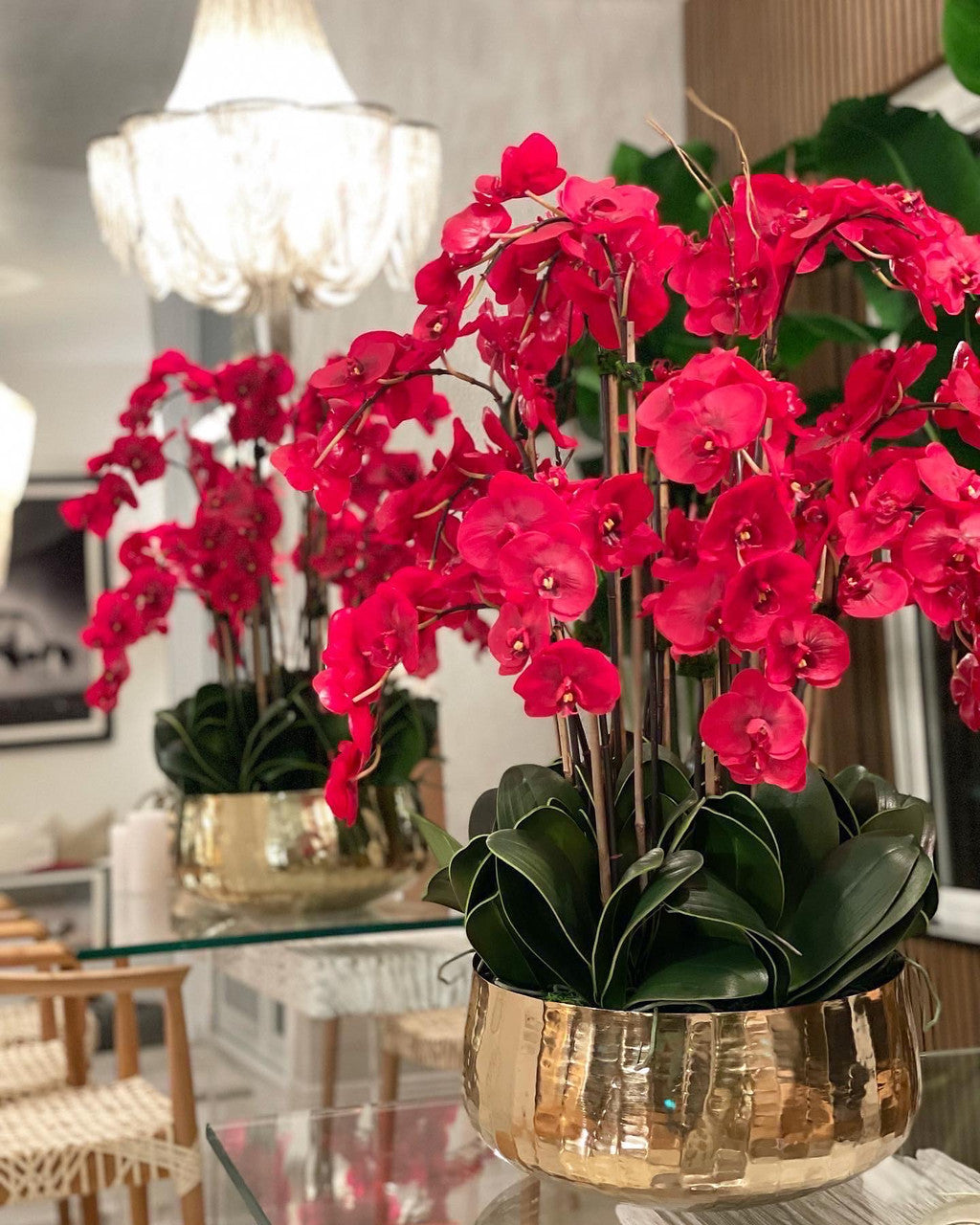 Red Phalaenopsis Orchids Floral Arrangement in Medium Gold Planter