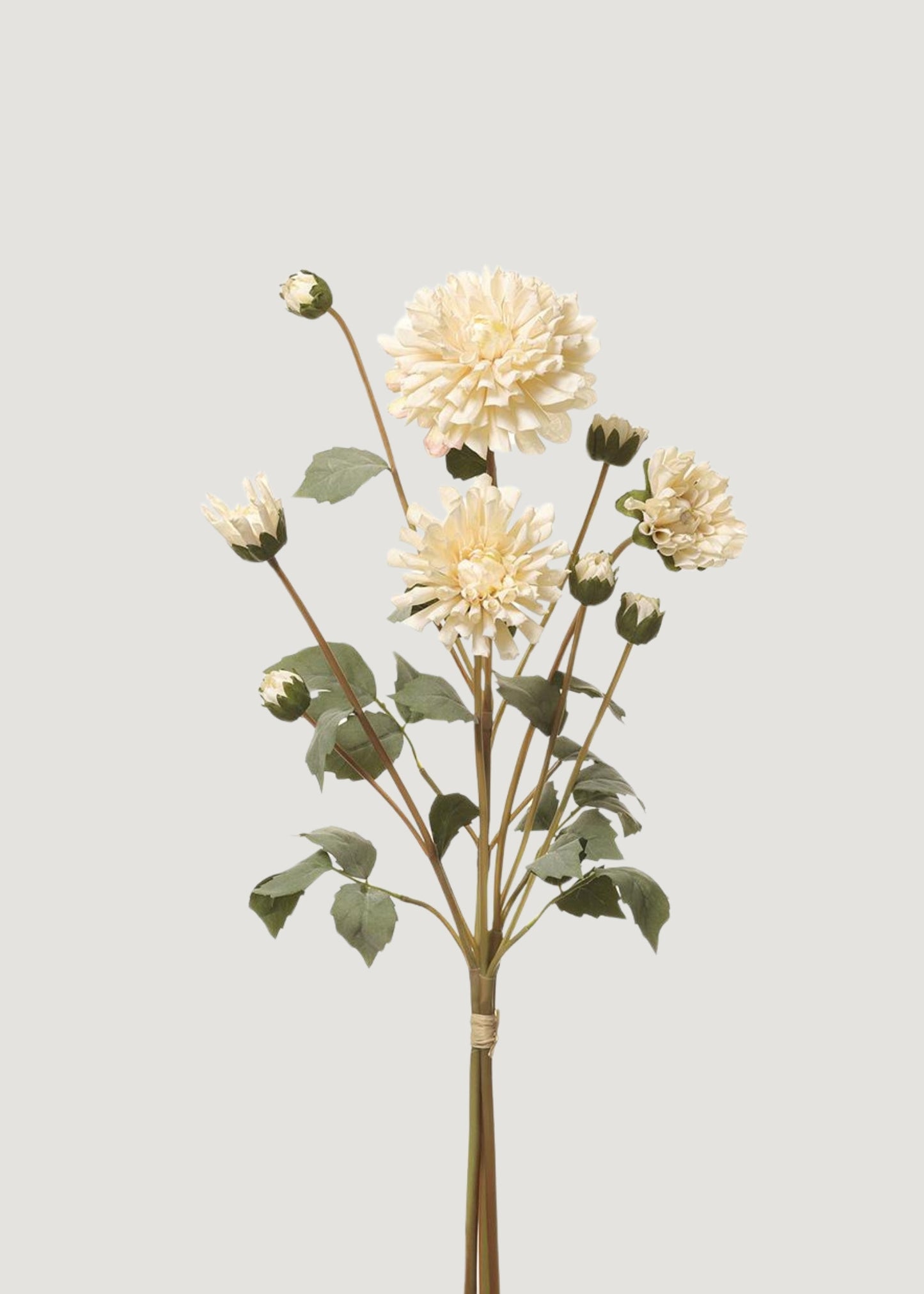 Cream Faux Dahlia Flower Bundle - 23"