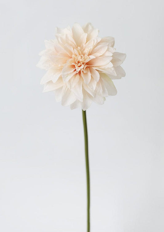 Blush Peach Dahlia Silk Flower - 19"