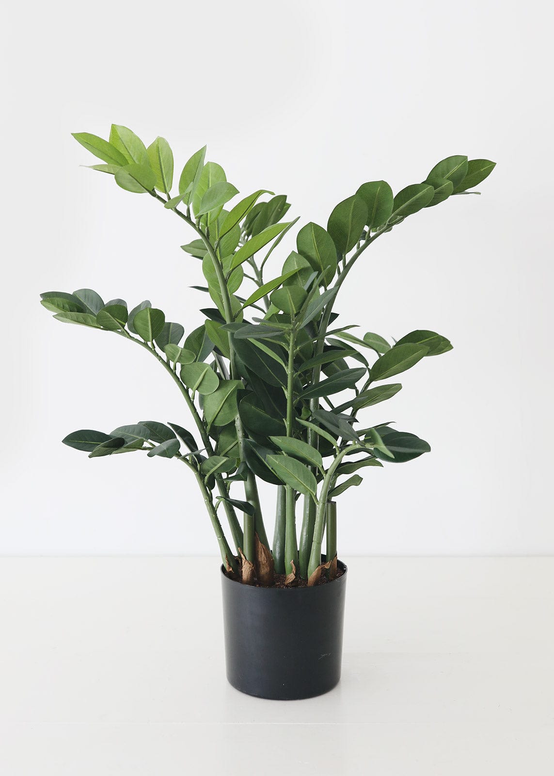 Artificial ZZ Tropical Plant in Pot - 30"