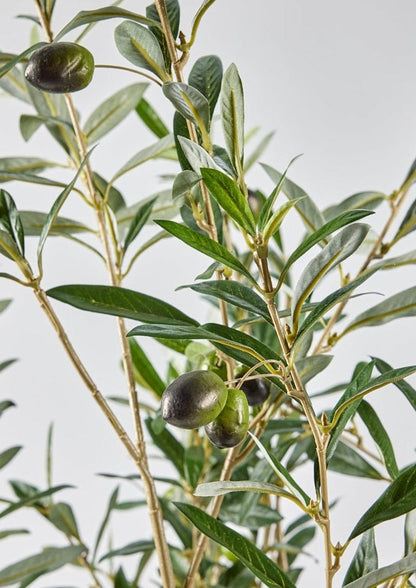 Artificial Olive Branch Arrangement in Glass Vase - 49"