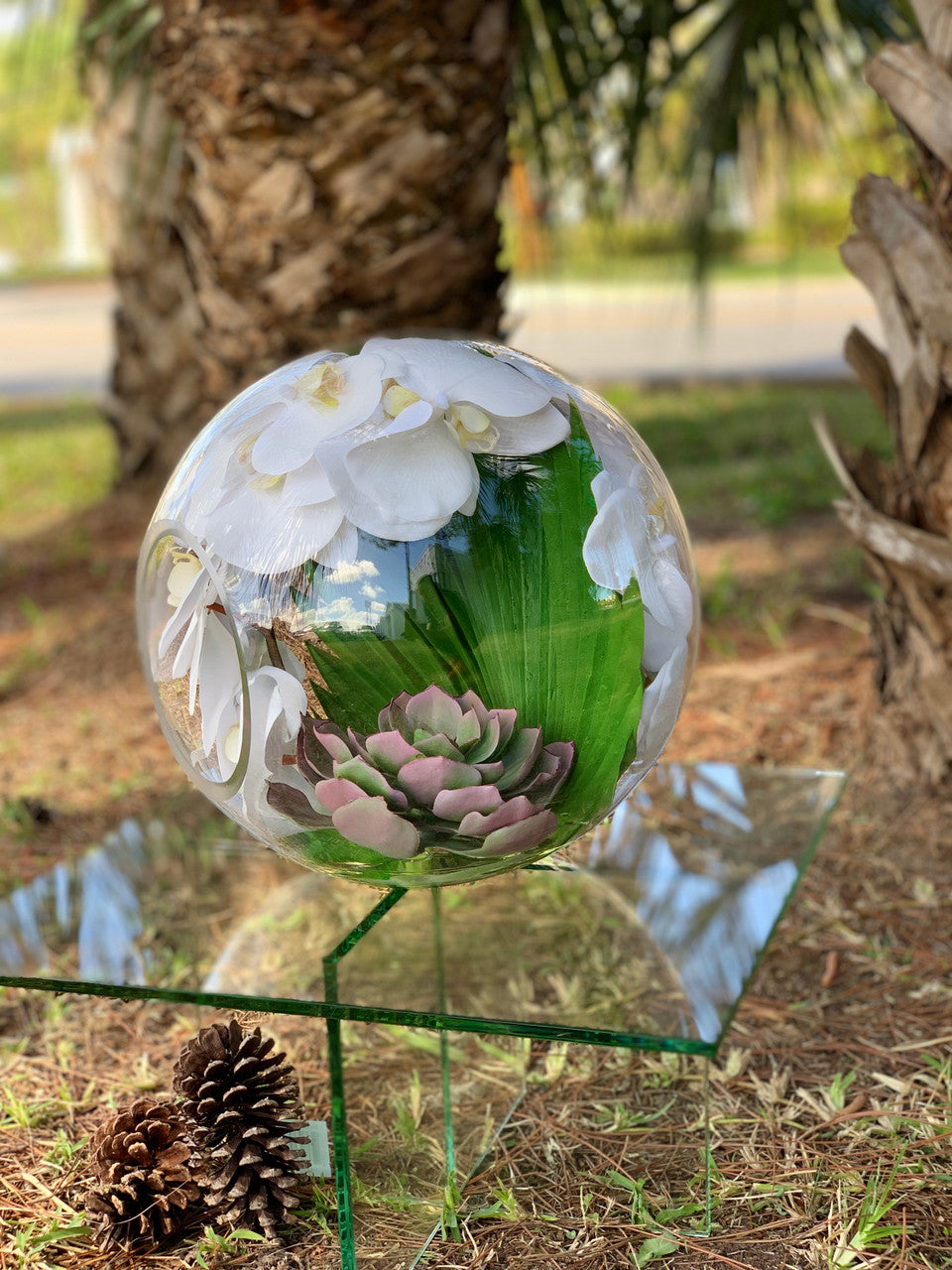 Crosswinds vase with white orchids and palm