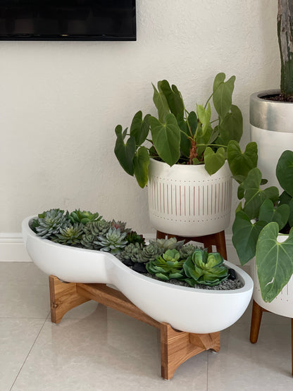 Infinity White Fiberglass Planter & Stand with Succulents