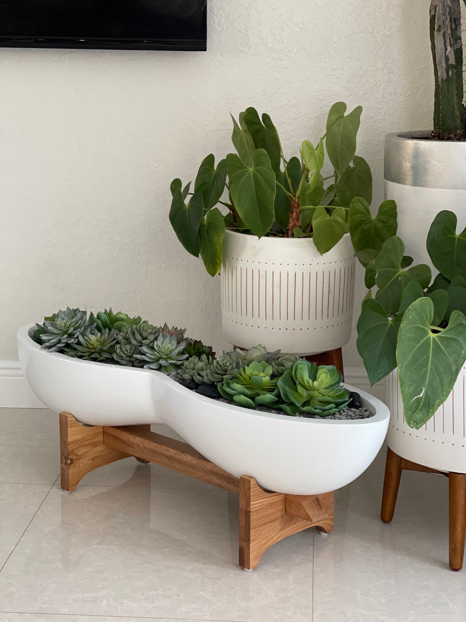 Infinity White Fiberglass Planter & Stand with Succulents