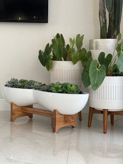 Infinity White Fiberglass Planter & Stand with Succulents