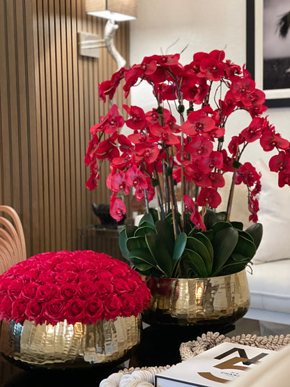 Red Phalaenopsis Orchids Floral Arrangement in Large Gold Planter