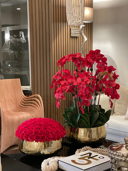 Red Phalaenopsis Orchids Floral Arrangement in Large Gold Planter