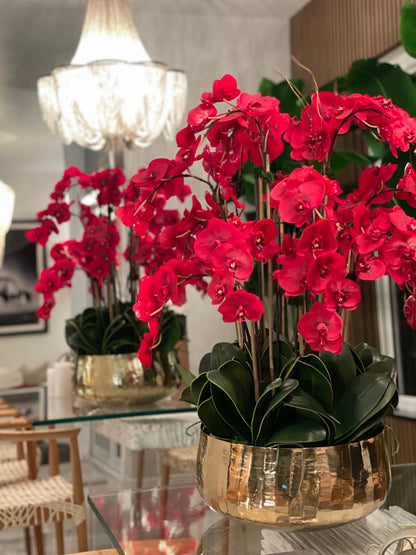 Red Phalaenopsis Orchids Floral Arrangement in Large Gold Planter