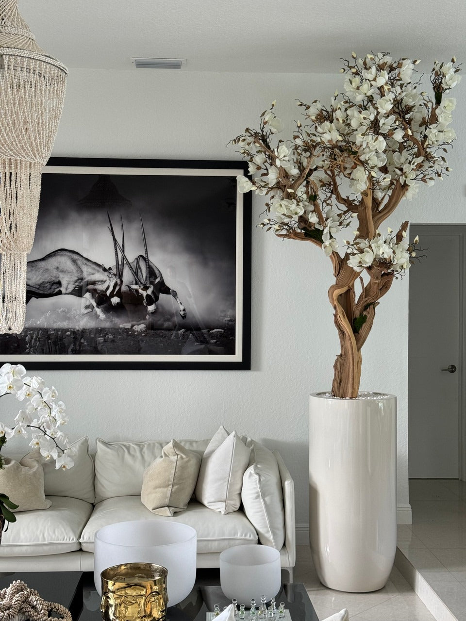 10ft White Magnolia Tree in Glossy Beige St. Tropez Planter