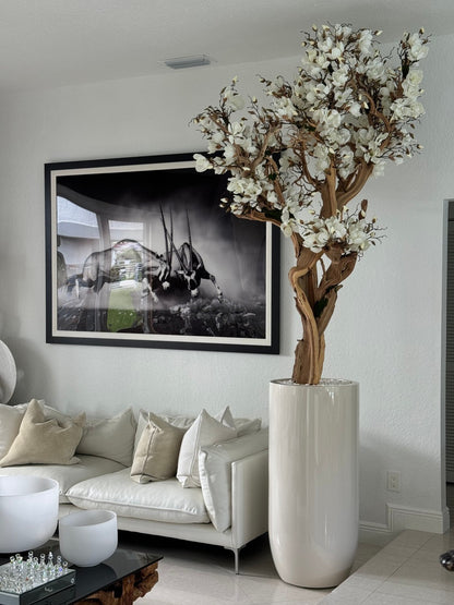 10ft White Magnolia Tree in Glossy Beige St. Tropez Planter