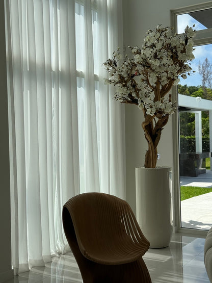 10ft White Magnolia Tree in Glossy Beige St. Tropez Planter