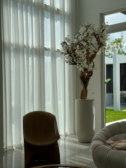 10ft White Magnolia Tree in Glossy Beige St. Tropez Planter